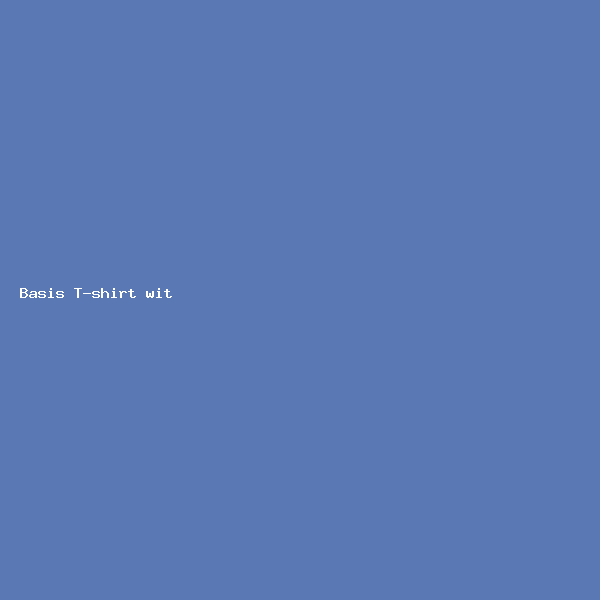Basis T-shirt wit