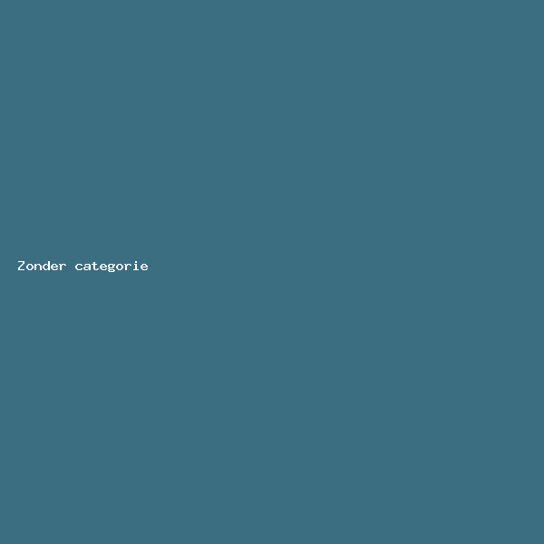 Product zonder categorie